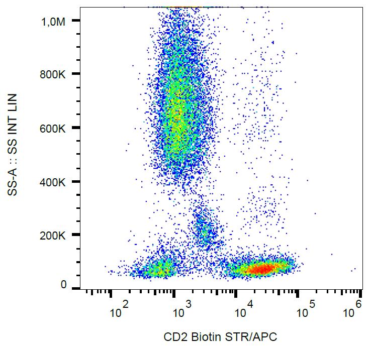 Anti-CD2 / LFA-2 Monoclonal Antibody (Clone:MEM-65)-Biotin Conjugated