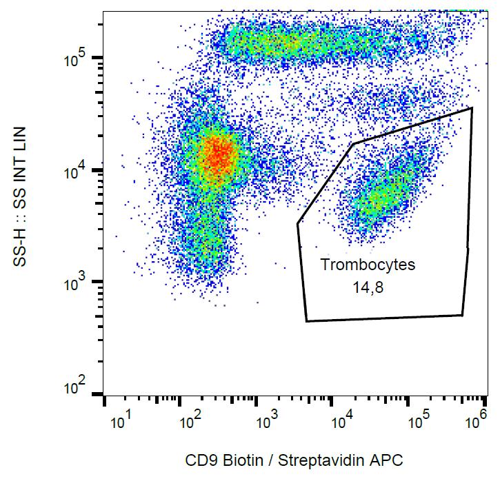 Anti-CD9 Monoclonal Antibody (Clone:MEM-61)-Biotin Conjugated