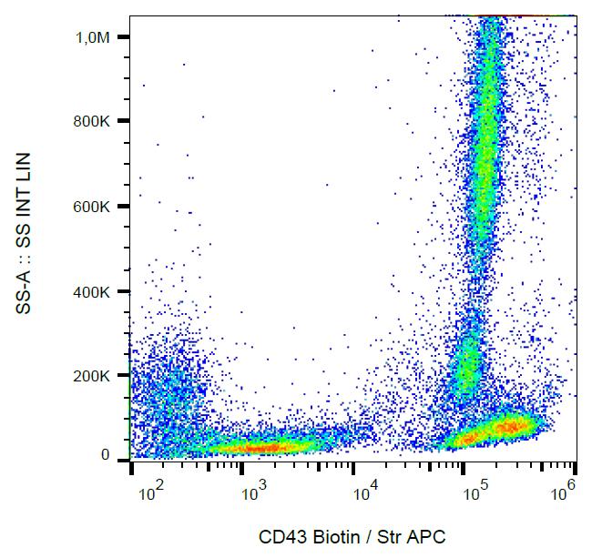 Anti-CD43 / Leukosialin Monoclonal Antibody (Clone:MEM-59)-Biotin Conjugated