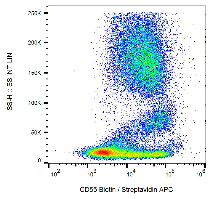 Anti-CD55 / DAF Monoclonal Antibody (Clone:MEM-118)-Biotin Conjugated