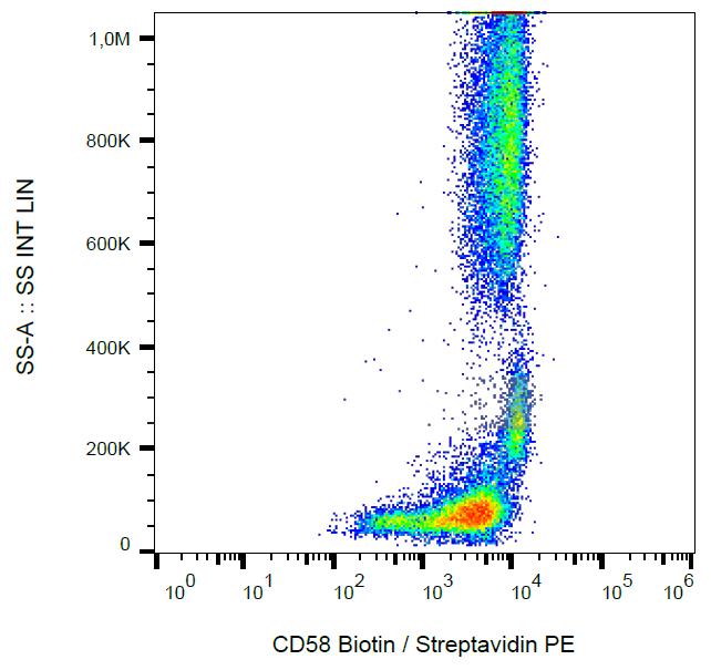 Anti-CD58 / LFA-3 Monoclonal Antibody (Clone:MEM-63)-Biotin Conjugated