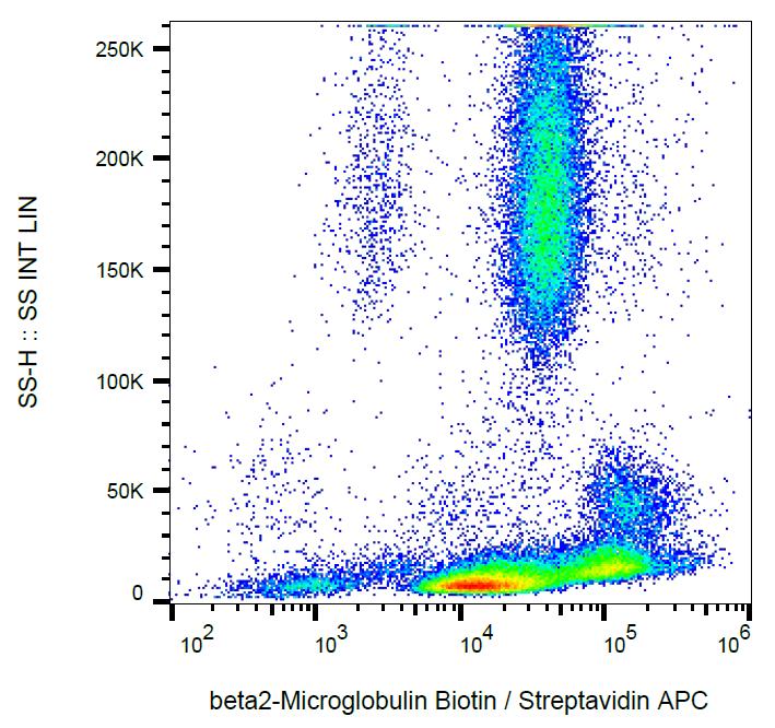 Biotin Conjugated, Anti-beta2-Microglobulin Monoclonal Antibody (Clone:B2M-01)