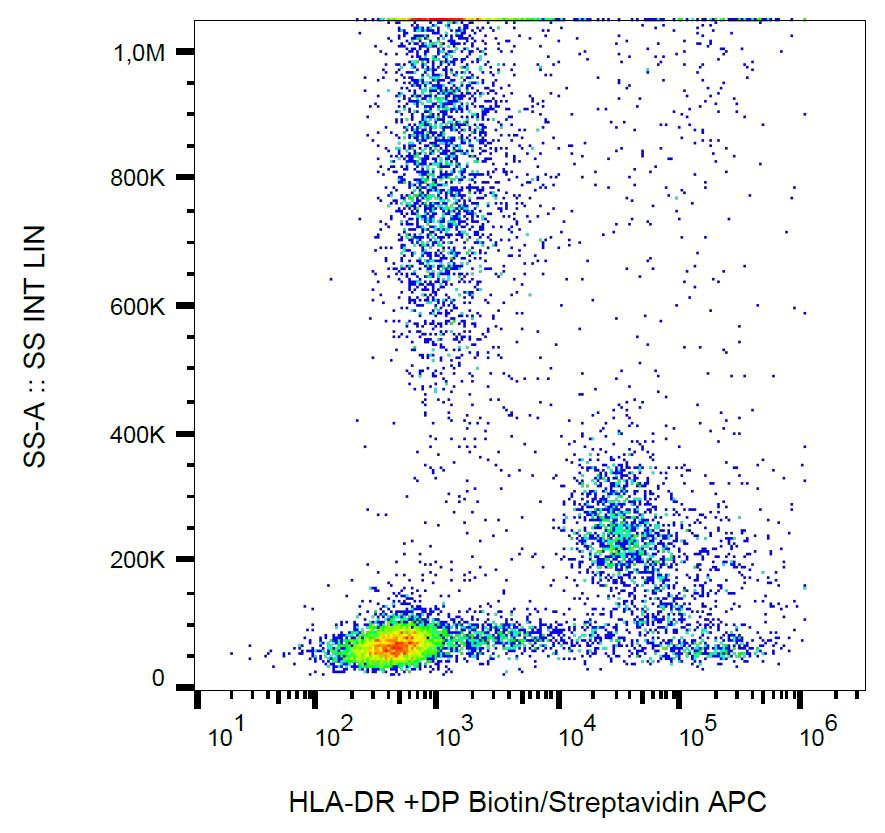 Biotin Conjugated Anti-HLA-DR+DP Monoclonal Antibody (Clone:MEM-136)