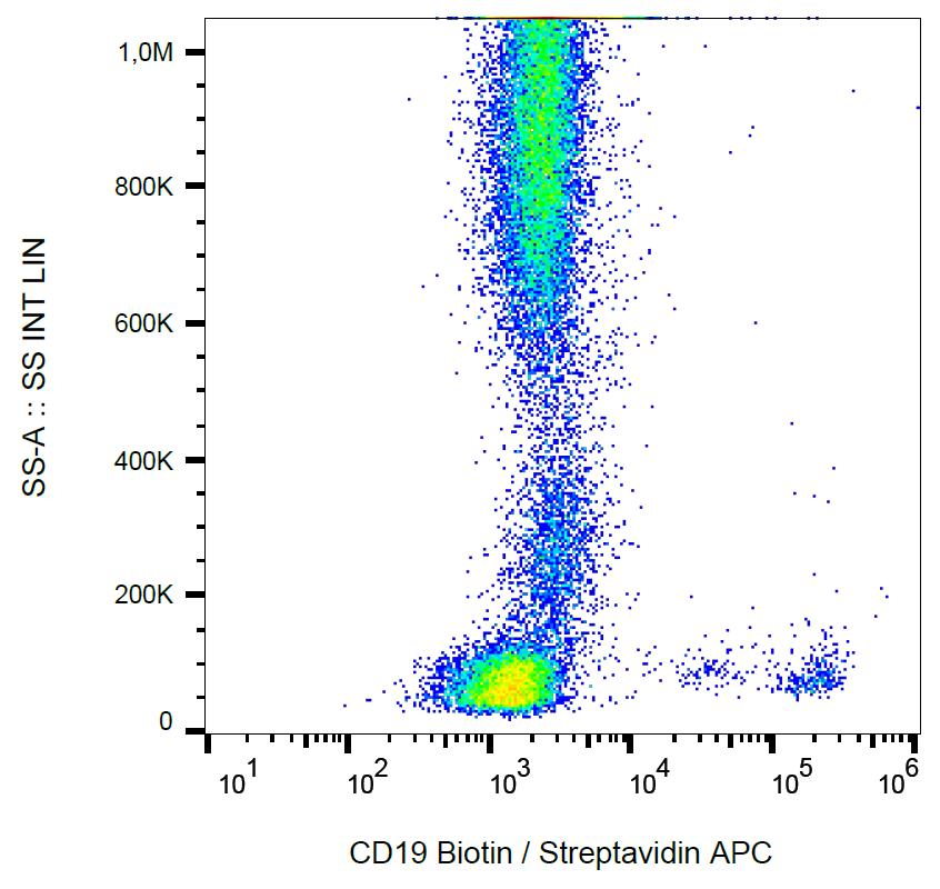 Anti-CD19 Monoclonal Antibody (Clone:LT19)-Biotin Conjugated