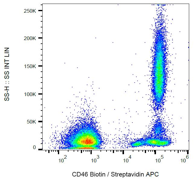 Anti-CD46 / Membrane Cofactor Protein Monoclonal Antibody (Clone:MEM-258)-Biotin Conjugated