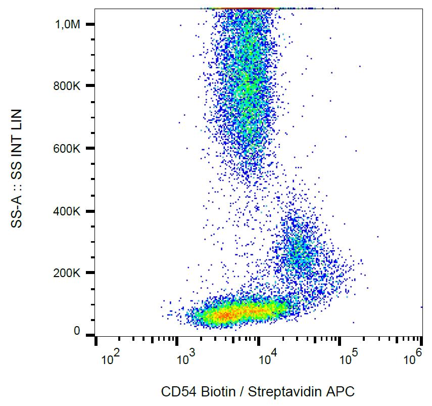 Anti-CD54 / ICAM-1 Monoclonal Antibody (Clone:1H4)-Biotin Conjugated