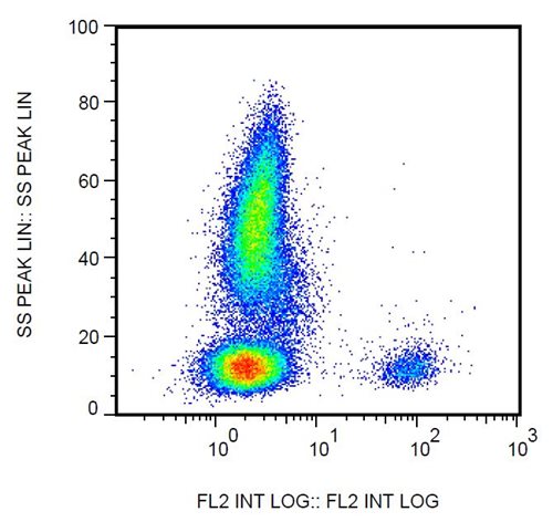 Anti-CD19 Monoclonal Antibody (Clone:4G7 )-Biotin Conjugated