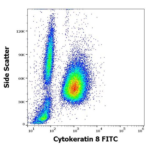 Anti-Cytokeratin 8 Monoclonal Antibody (Clone:C-43)-FITC Conjugated