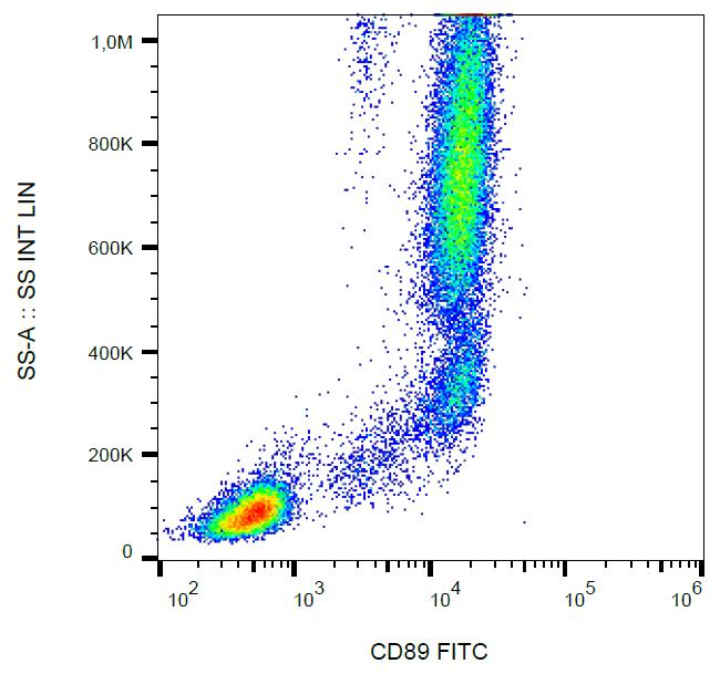 Anti-CD89 Monoclonal Antibody (Clone:A59)-FITC Conjugated