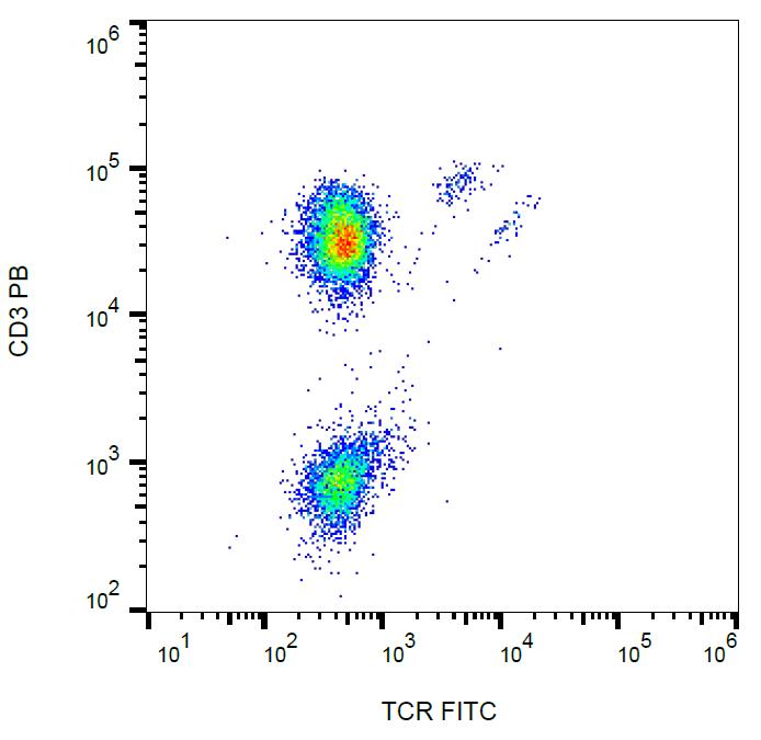 FITC Conjugated Anti-TCR gamma/delta Monoclonal Antibody (Clone:B1)