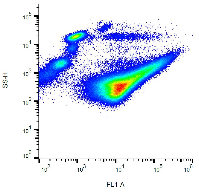 Anti-CD42b Monoclonal Antibody (Clone:AK2)-FITC Conjugated