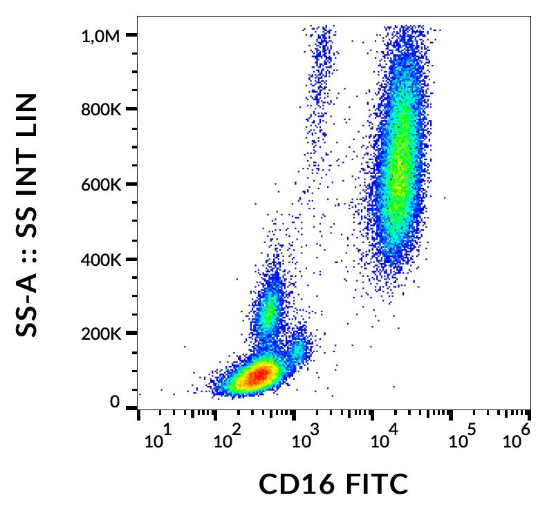 Anti-CD16 / FcgammaRIII Monoclonal Antibody (Clone:MEM-154)-FITC Conjugated