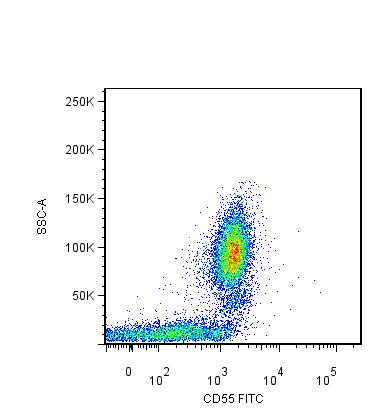 Anti-CD55 / DAF Monoclonal Antibody (Clone:MEM-118)-FITC Conjugated