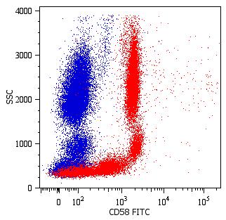 Anti-CD58 / LFA-3 Monoclonal Antibody (Clone:MEM-63)-FITC Conjugated