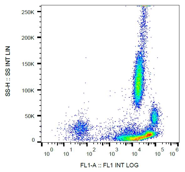 FITC Conjugated, Anti-beta2-Microglobulin Monoclonal Antibody (Clone:B2M-01)