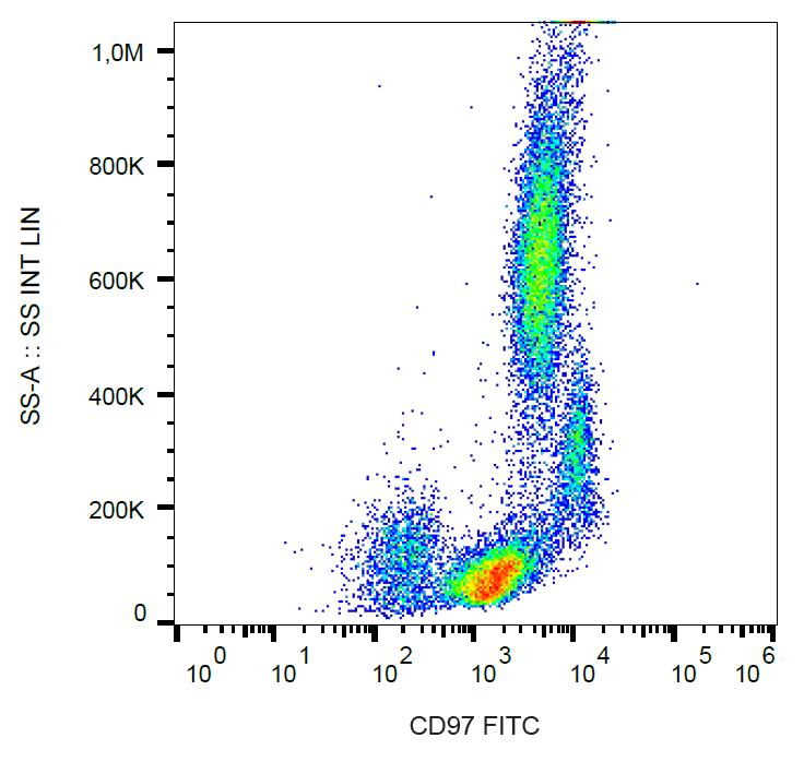 FITC Conjugated Anti-CD97 Monoclonal Antibody (Clone:MEM-180)