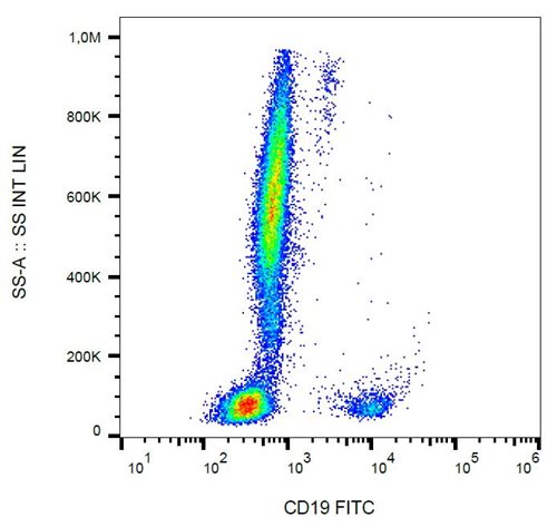 Anti-CD19 Monoclonal Antibody (Clone:LT19)-FITC Conjugated