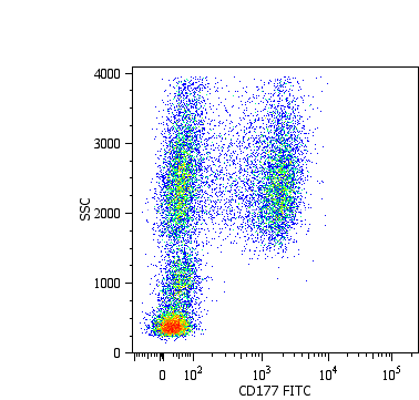 Anti-CD177 Monoclonal Antibody (Clone:MEM-166)-FITC Conjugated