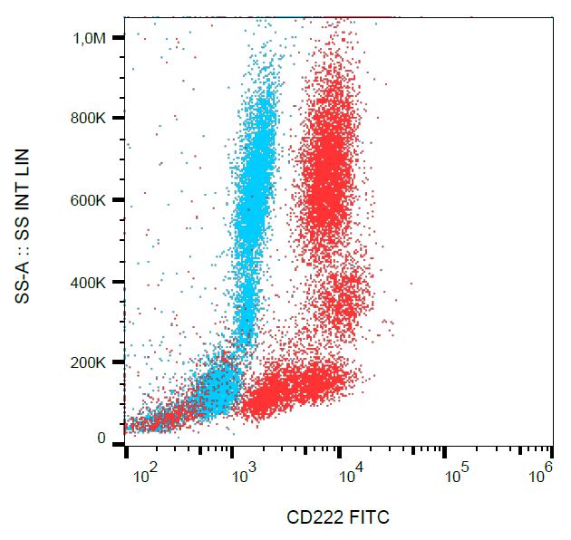 Anti-CD222 / IGF2 receptor / CIMPR Monoclonal Antibody (Clone:MEM-238)-FITC Conjugated