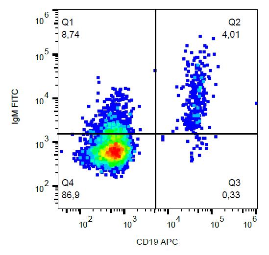 FITC Conjugated Anti-IgM Monoclonal Antibody (Clone:CH2)