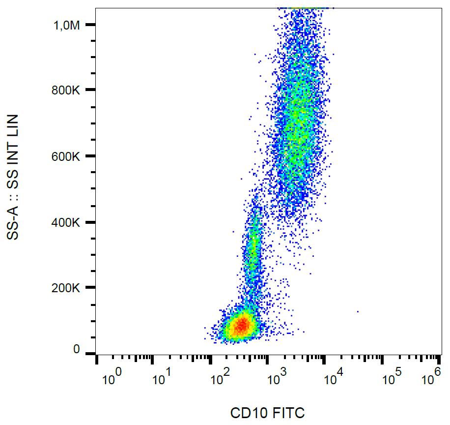 FITC Conjugated, Anti-CD10 / CALLA Monoclonal Antibody (Clone:LT10)