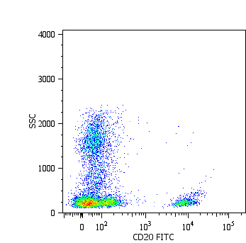 Anti-CD20 Monoclonal Antibody (Clone:LT20)-FITC Conjugated