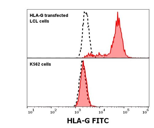 Anti-HLA-G Monoclonal Antibody (Clone:01G)