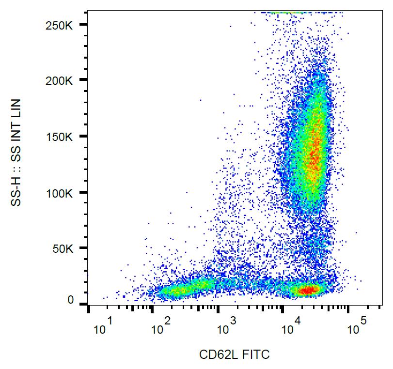 Anti-CD62L / L-selectin Monoclonal Antibody (Clone:LT-TD180)-FITC Conjugated