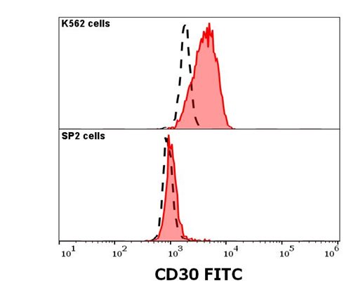 Anti-CD30 / Ki-1 Monoclonal Antibody (Clone:MEM-268)-FITC Conjugated
