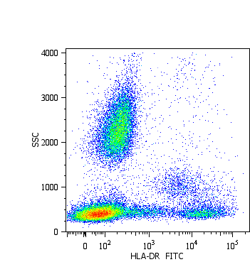 Anti-HLA-DR Monoclonal Antibody (Clone:MEM-12)-FITC Conjugated