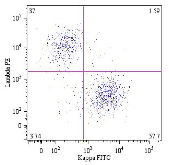 FITC Conjugated Anti-Kappa light chains Monoclonal Antibody (Clone:A8B5)