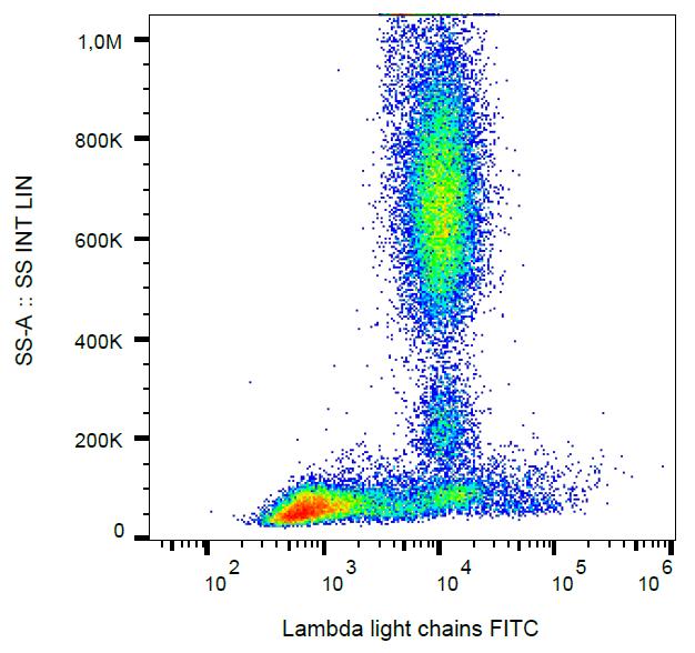 FITC Conjugated Anti-Lambda light chains Monoclonal Antibody (Clone:4C2)