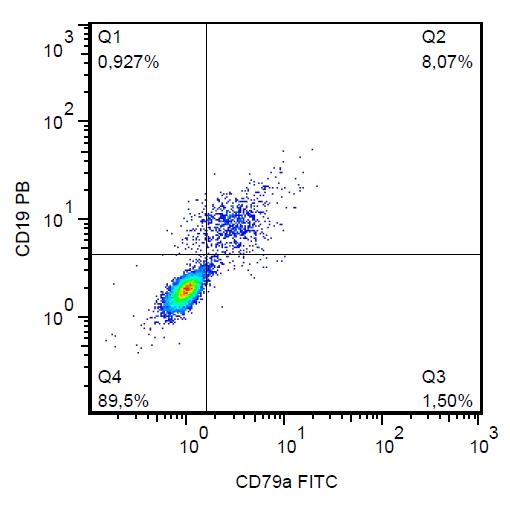 Anti-CD79a Monoclonal Antibody (Clone:HM57)-FITC Conjugated