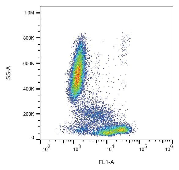 Anti-CD81 Monoclonal Antibody (Clone:M38)-FITC Conjugated