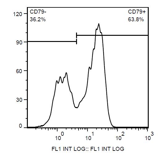 Anti-CD79b Monoclonal Antibody (Clone:HM79)-FITC Conjugated(Discontinued)