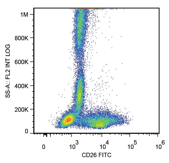 Anti-CD26 Monoclonal Antibody (Clone:BA5b)-FITC Conjugated