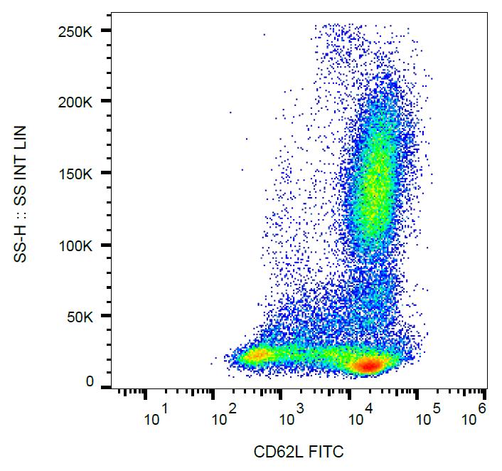 Anti-CD62L / L-Selectin Monoclonal Antibody (Clone:DREG56)-FITC Conjugated