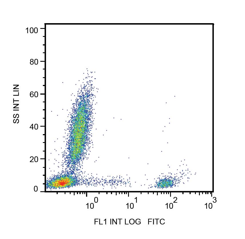 Anti-CD20 Monoclonal Antibody (Clone:2H7)-FITC Conjugated