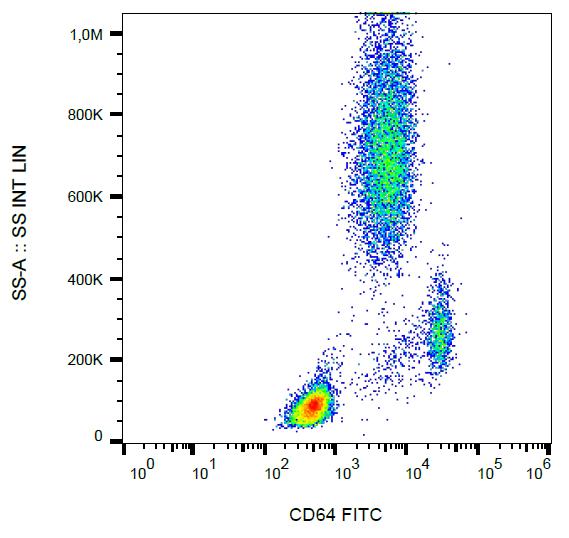 FITC Conjugated, Anti-CD64 / FcgammaRI Monoclonal Antibody (Clone:10.1)