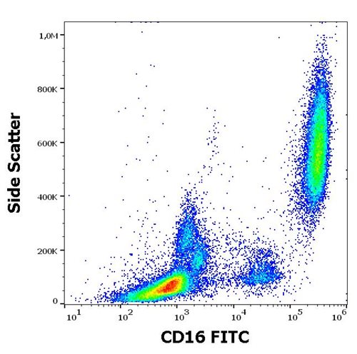 Anti-CD16 / FcgammaRIII Monoclonal Antibody (Clone:3G8)-FITC Conjugated