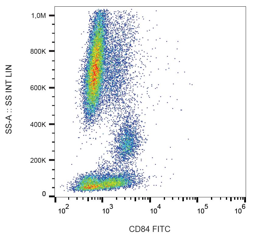 Anti-CD84 Monoclonal Antibody (Clone:CD84.1.21)-FITC Conjugated