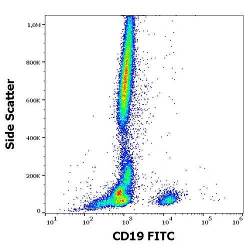 Anti-CD19 Monoclonal Antibody (Clone:4G7 )-FITC Conjugated