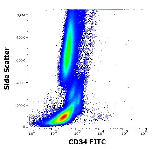 Anti-CD34 Monoclonal Antibody (Clone:581)-FITC Conjugated