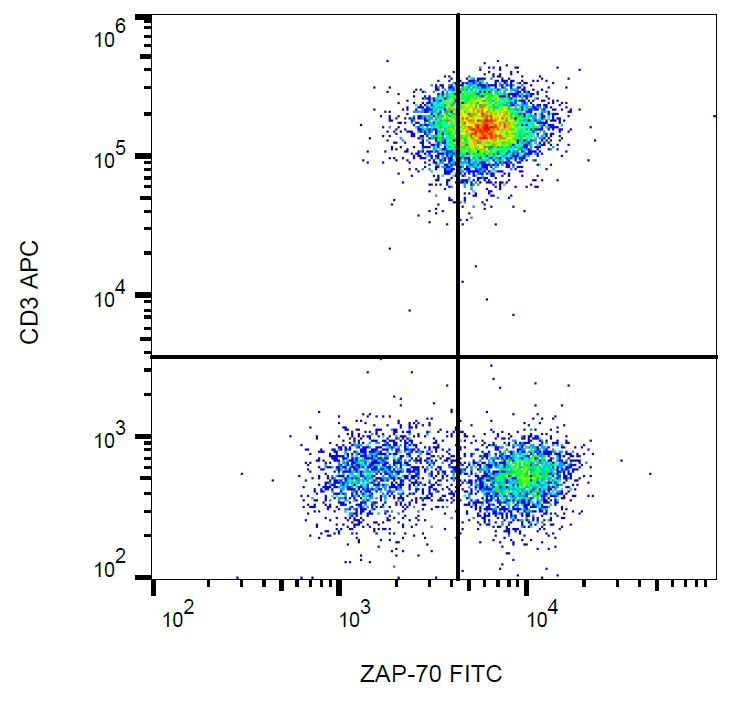 FITC Conjugated Anti-ZAP-70 Monoclonal Antibody (Clone:1E7.2)(Discontinued)