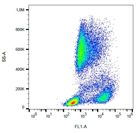 Anti-CD62P / P-selectin Monoclonal Antibody (Clone:AK4)-FITC Conjugated