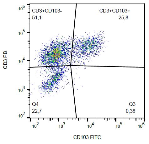 FITC Conjugated, Anti-CD103 / Integrin alpha E Monoclonal Antibody (Clone:Ber-ACT8)