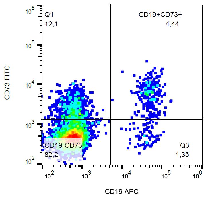 Anti-CD73 Monoclonal Antibody (Clone:AD2)-FITC Conjugated