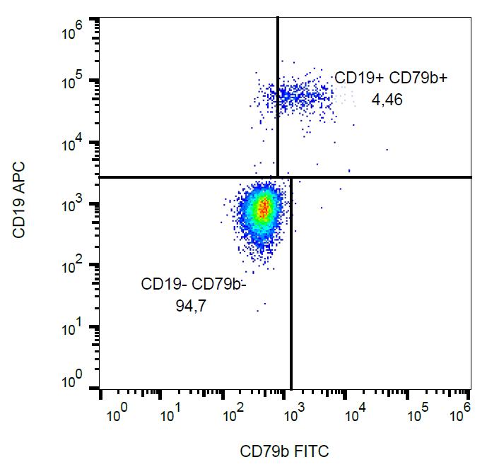 Anti-CD79b Monoclonal Antibody (Clone:CB3-1)-FITC Conjugated