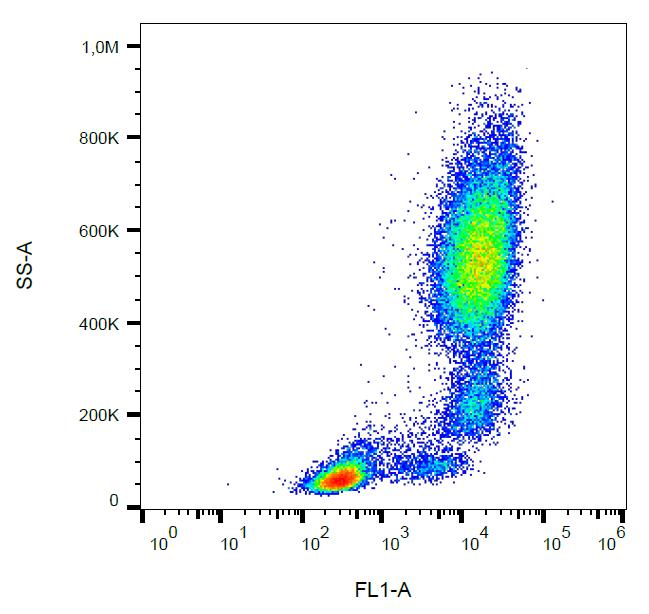 Anti-CD11b Monoclonal Antibody (Clone:ICRF44)-FITC Conjugated