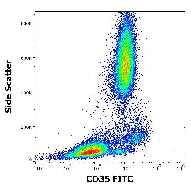 Anti-CD35 / CR1 Monoclonal Antibody (Clone:E11)-FITC Conjugated